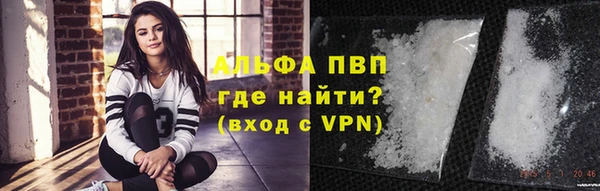 PSILOCYBIN Кинешма