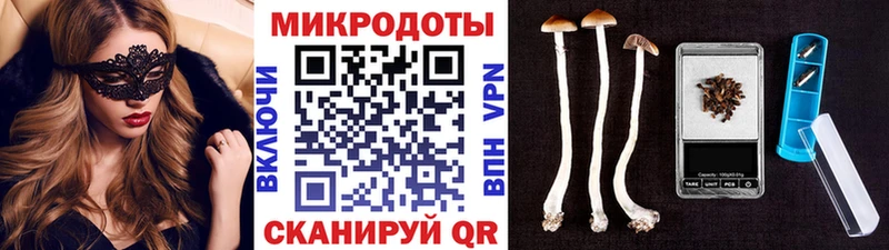 Галлюциногенные грибы Psilocybine cubensis  Купить  Люберцы 